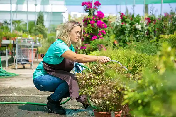 ndis gardening morley