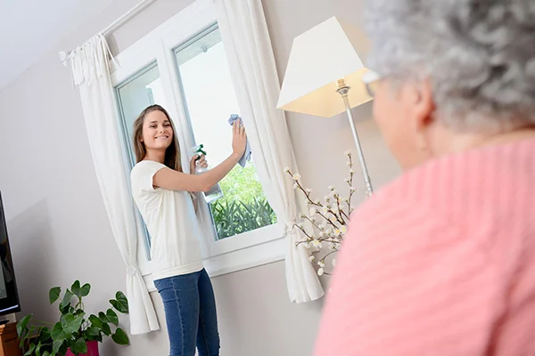 ndis window cleaning hamersley